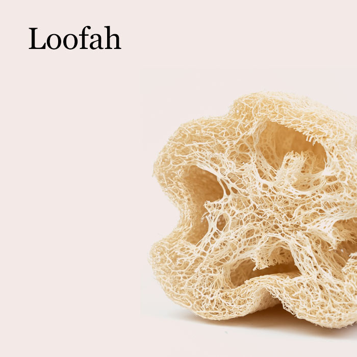 Loofahs