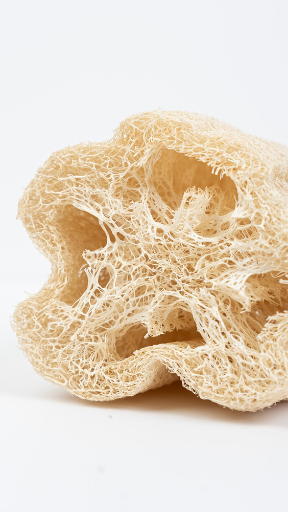 Loofah Segment with Hemp Strap