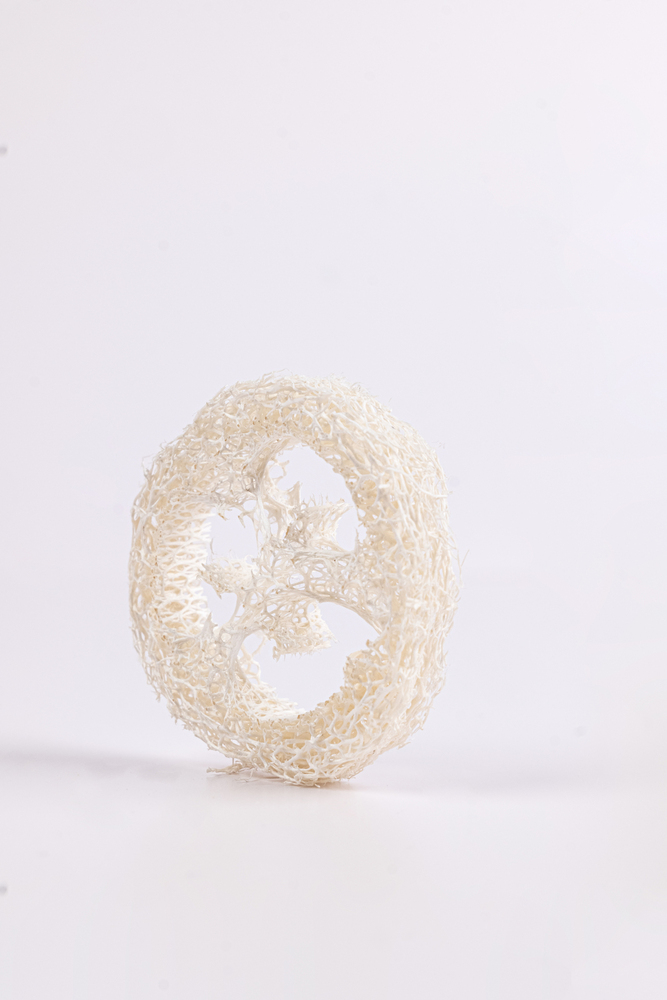 Natural Loofah Slice Body Scrubber