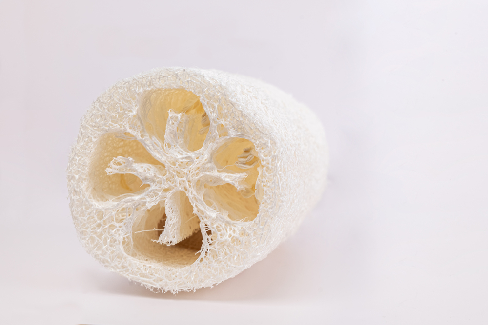 Round Loofah Brush with Straight Handle