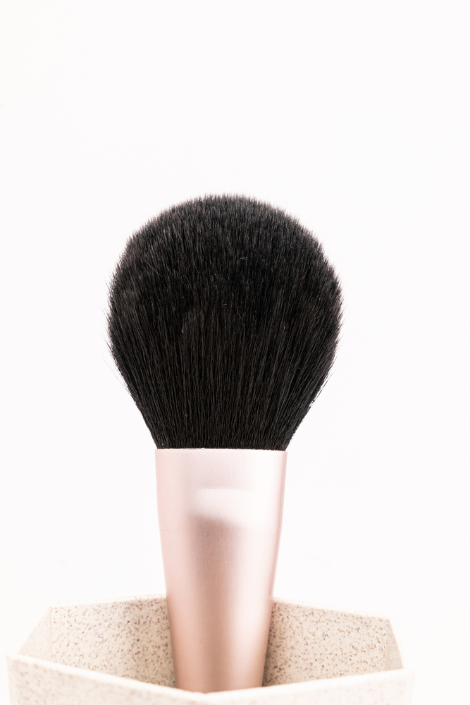 Makeup Brush