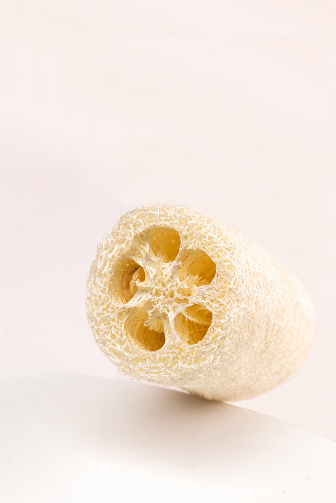 Loofah Scrubber With Round Handle