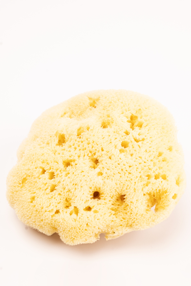 Natural Sponge