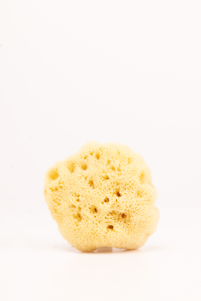 Natural Sponge