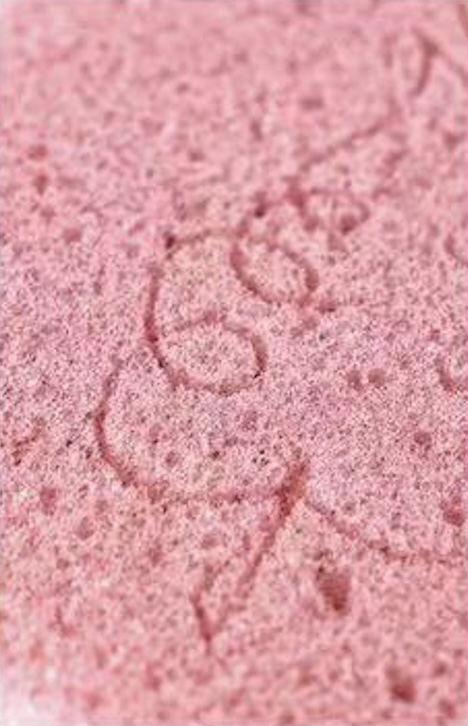 Printed Bath Sponge